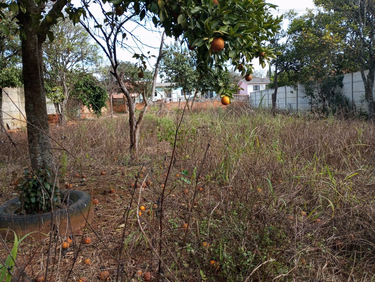 Terreno à venda em Chapada, Ponta Grossa — Portal Chave Fácil