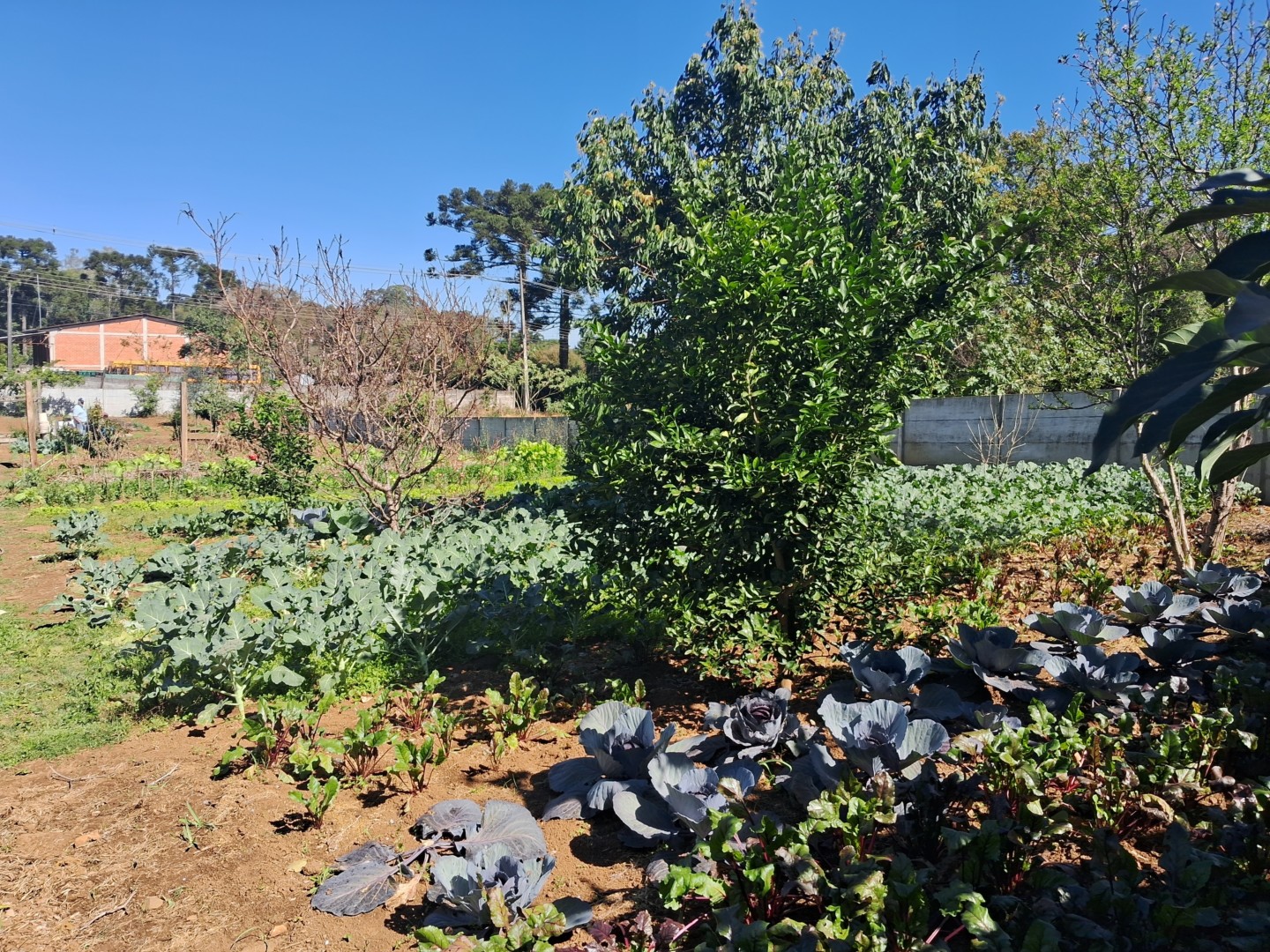 Terreno à venda em Guaragi, Curitiba — Portal Chave Fácil
