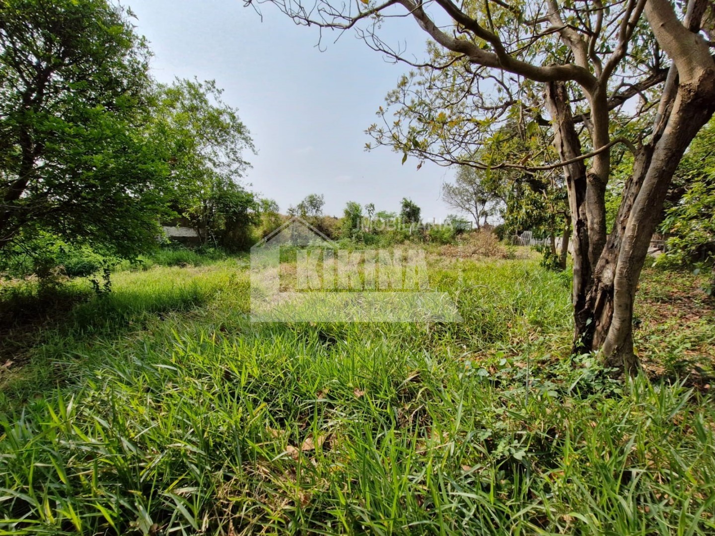 Terreno/Área à venda em Uvaranas, Ponta Grossa — Portal Chave Fácil