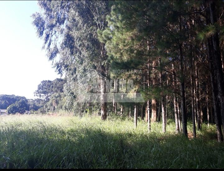 Chácara à venda em Ipiranga — Portal Chave Fácil