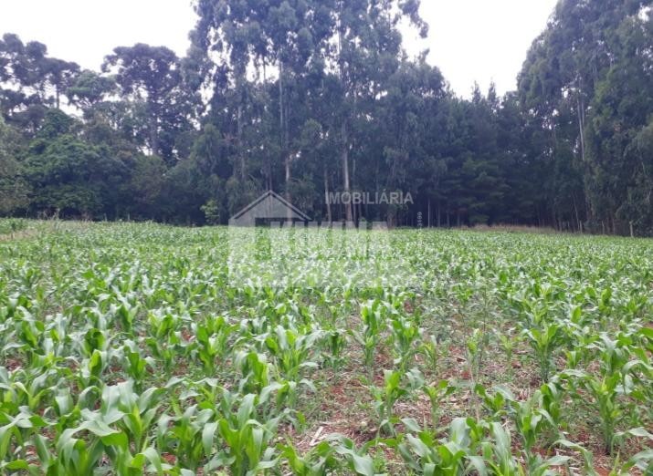 Chácara à venda em Ipiranga — Portal Chave Fácil