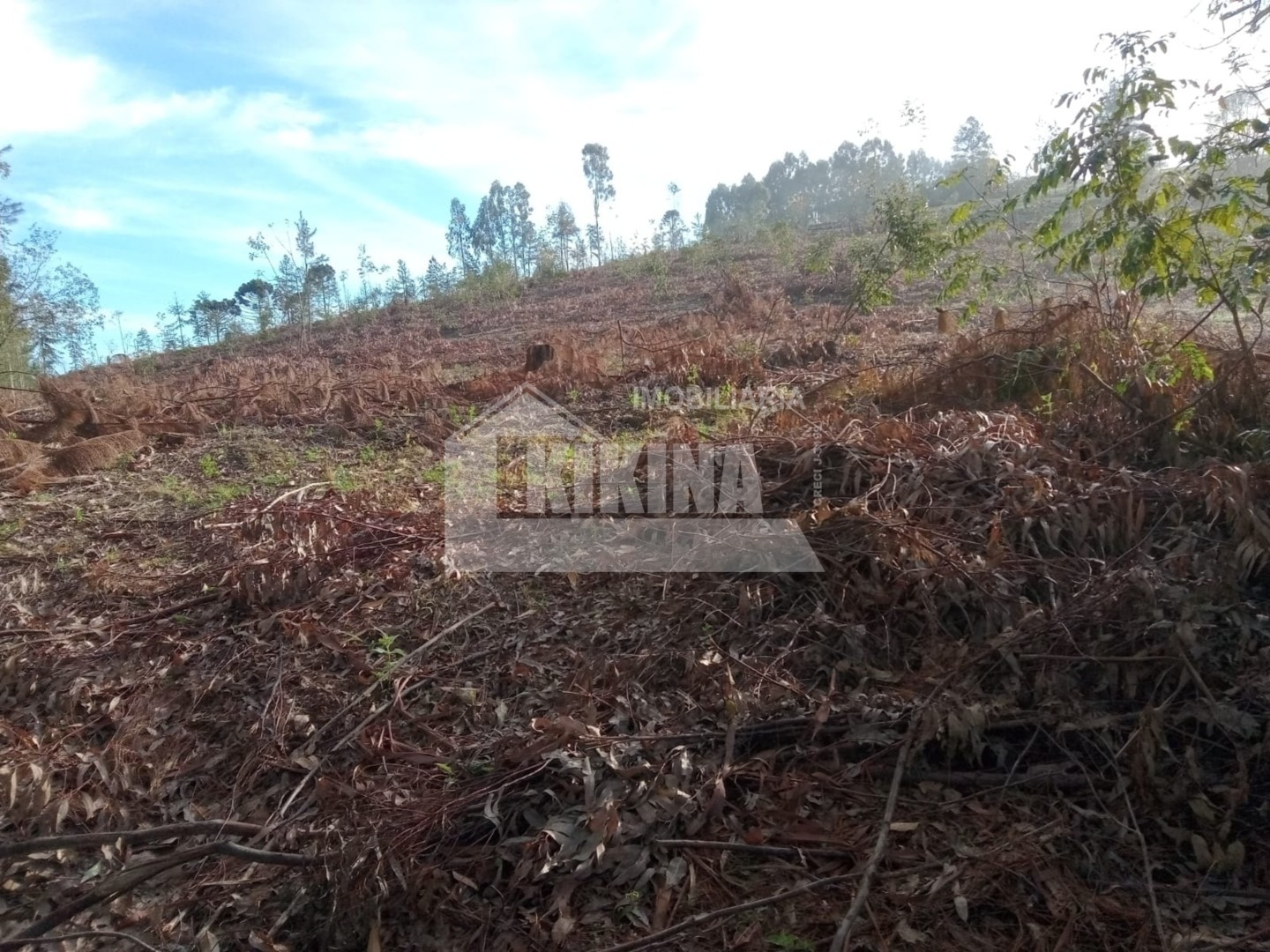 Chácara à venda em Tibagi — Portal Chave Fácil