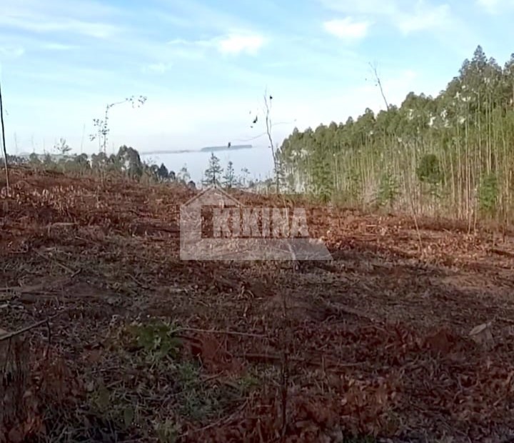 Chácara à venda em Tibagi — Portal Chave Fácil