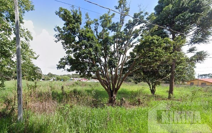 Terreno/Área à venda em Distrito De Guaragi, Ponta Grossa — Portal Chave Fácil