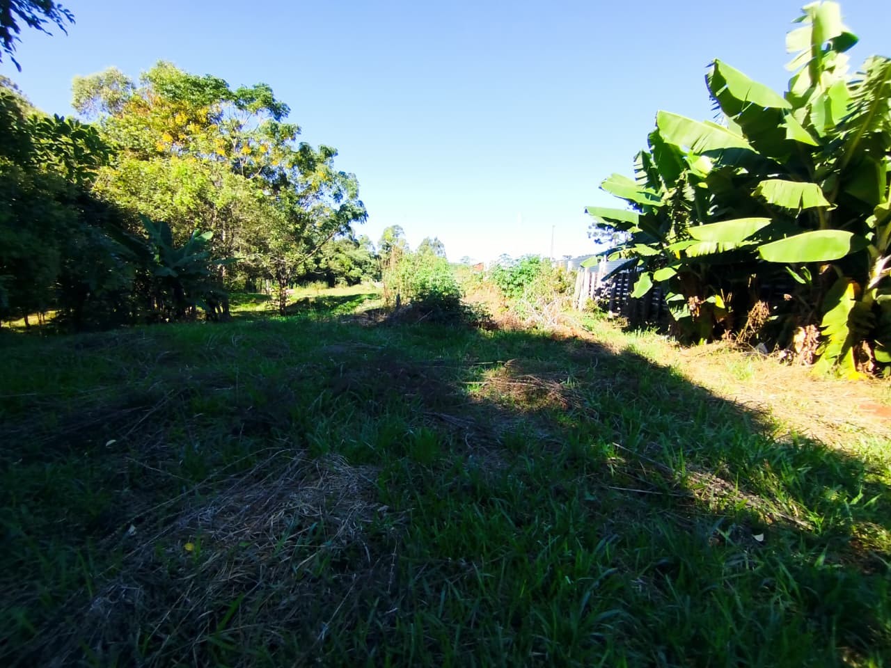 Terreno à venda em Cara-cara, Ponta Grossa — Portal Chave Fácil