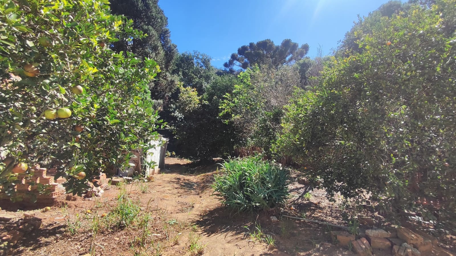 Terreno/Área à venda em Jardim Carvalho, Ponta Grossa — Portal Chave Fácil