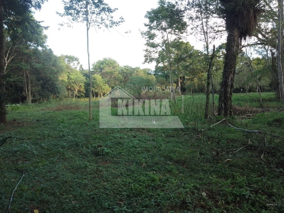 Fazenda à venda em Itaiacoca, Ponta Grossa — Portal Chave Fácil