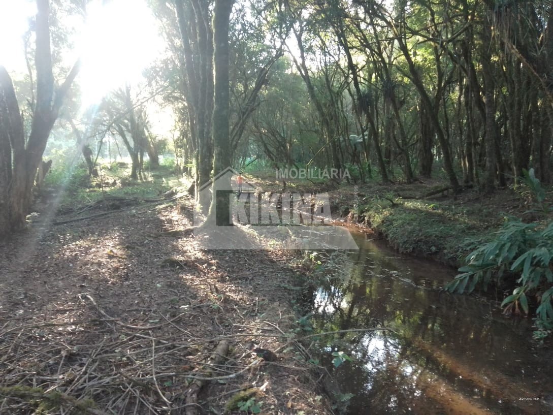Fazenda à venda em Itaiacoca, Ponta Grossa — Portal Chave Fácil