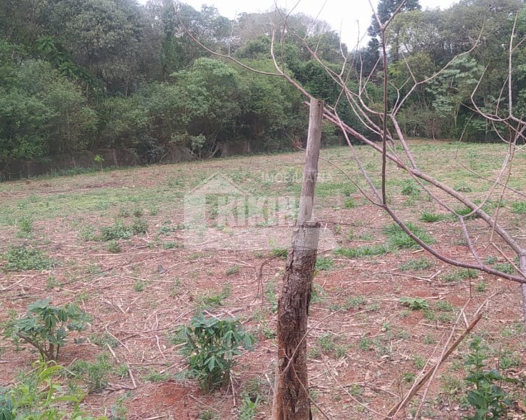 Fazenda à venda em Centro, Tibagi — Portal Chave Fácil
