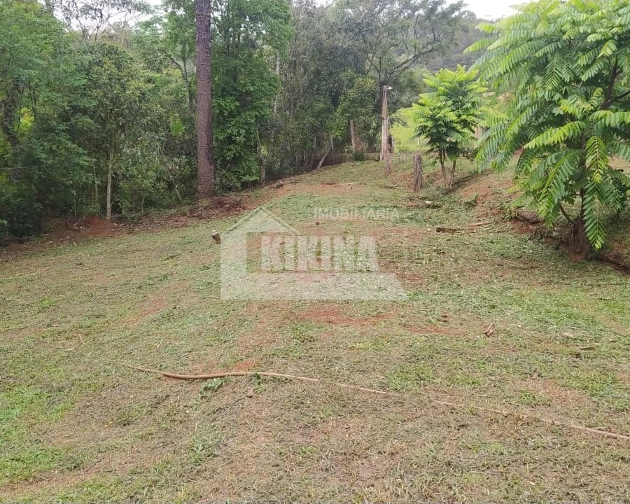 Fazenda à venda em Centro, Tibagi — Portal Chave Fácil