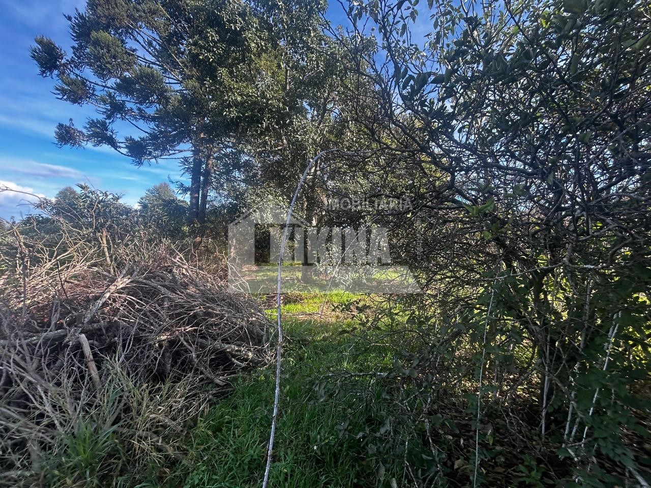 Barracão/Galpão para alugar em Contorno, Ponta Grossa — Portal Chave Fácil