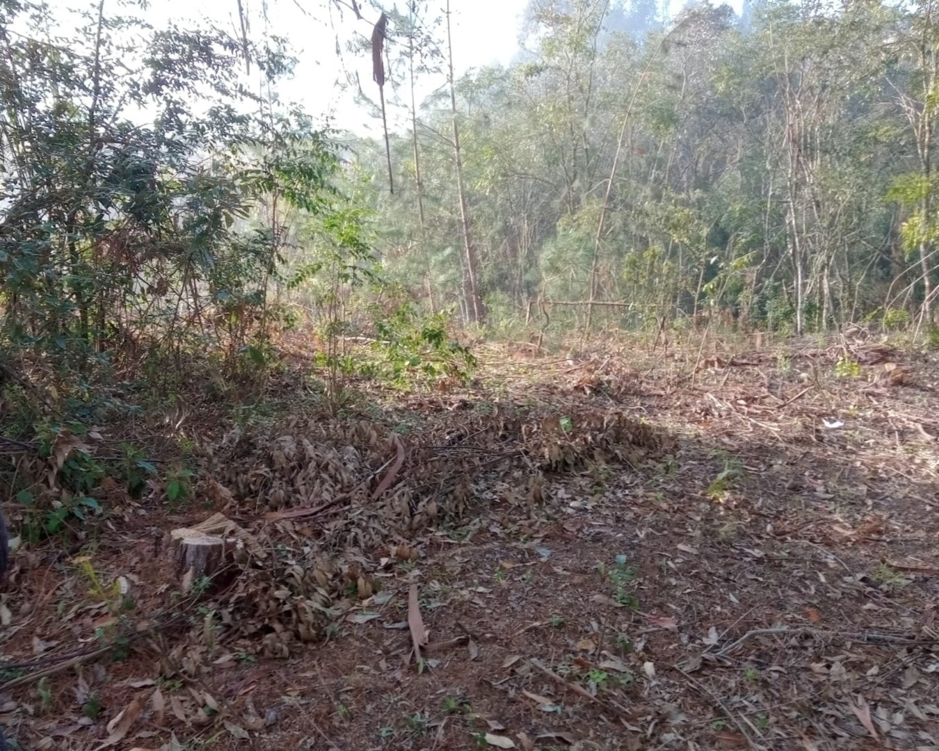 Fazenda à venda em Curitiba — Portal Chave Fácil