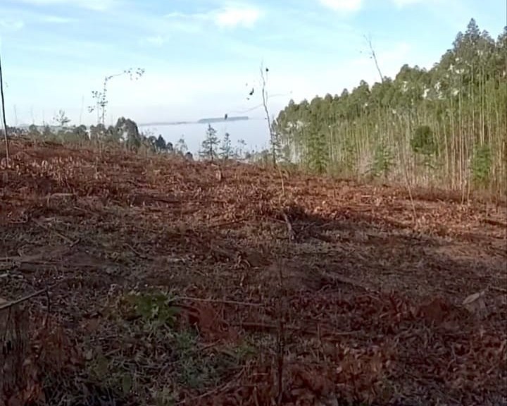 Fazenda à venda em Curitiba — Portal Chave Fácil