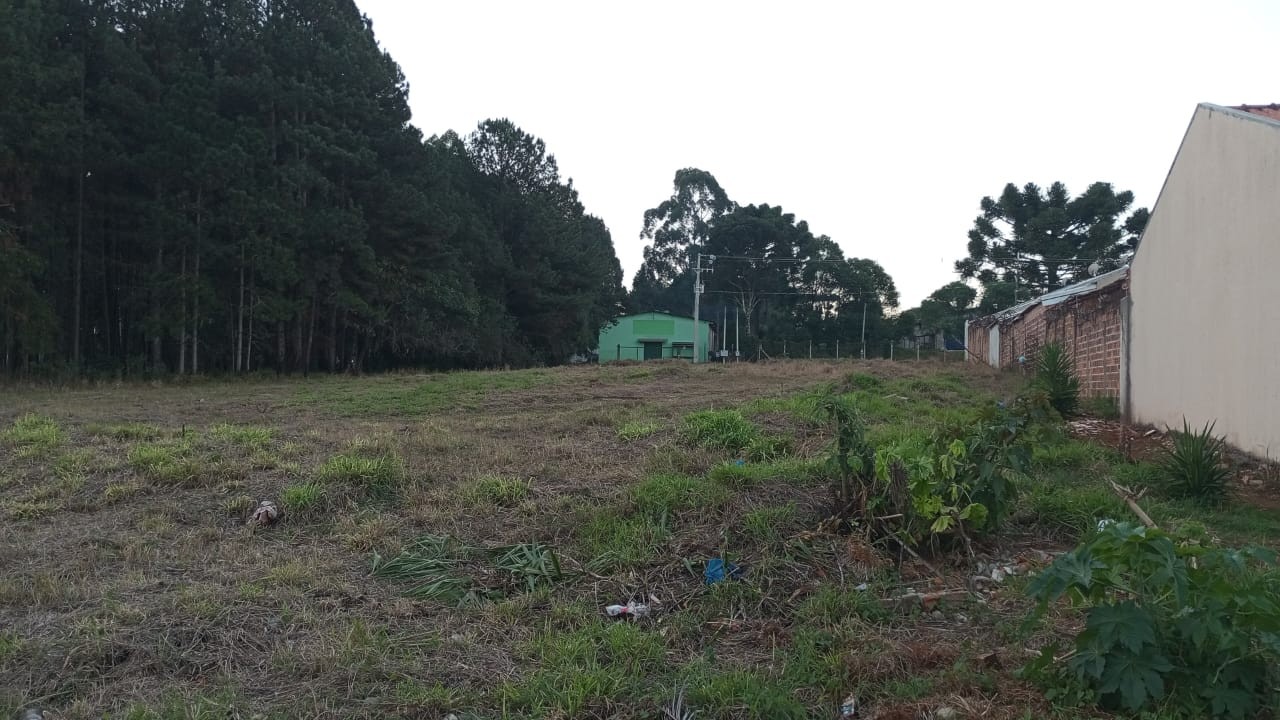 Terreno à venda em Cara-cara, Ponta Grossa — Portal Chave Fácil