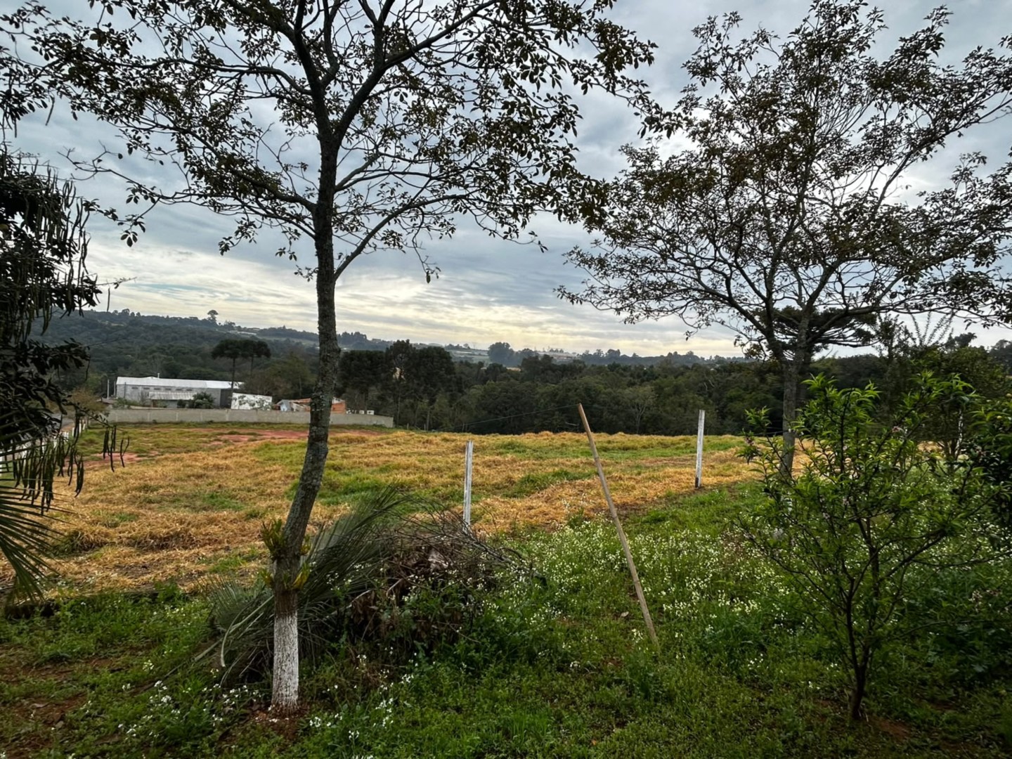 Terreno/Área para alugar em Chapada, Ponta Grossa — Portal Chave Fácil