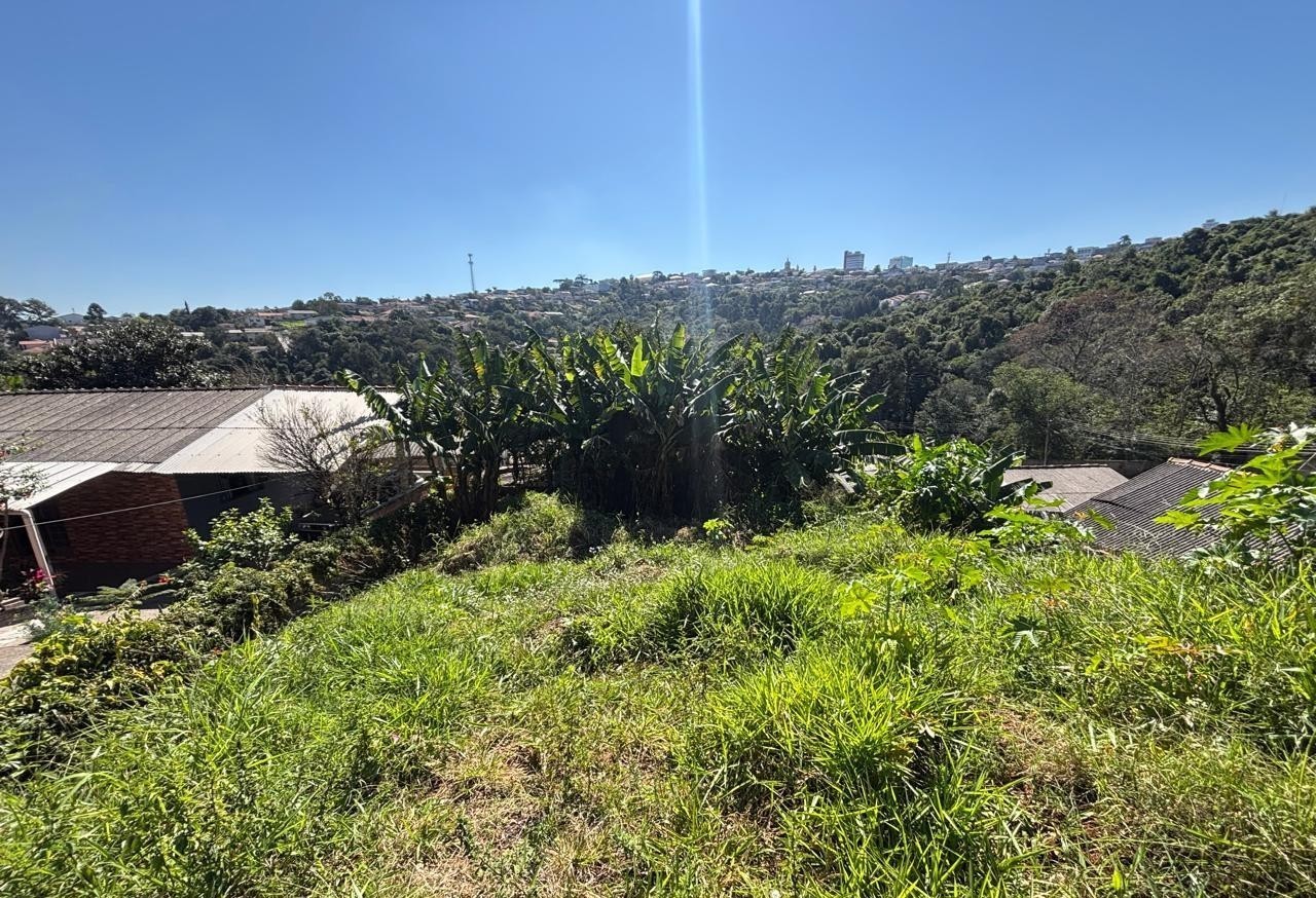 Terreno/Área à venda em Ronda, Ponta Grossa — Portal Chave Fácil