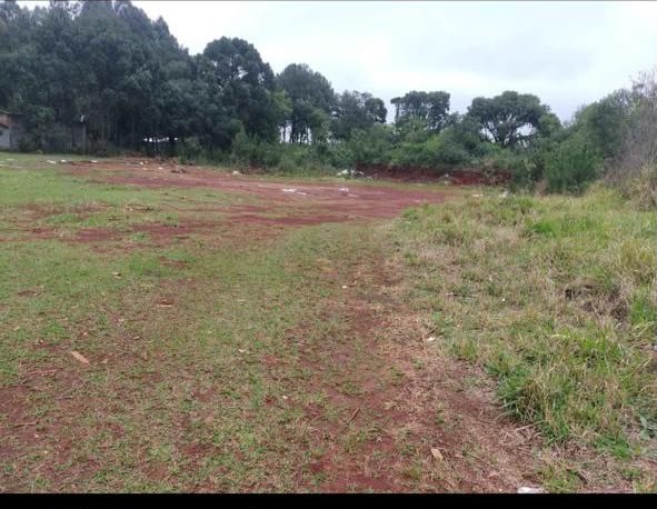 Terreno para alugar em Cara-cara, Ponta Grossa — Portal Chave Fácil