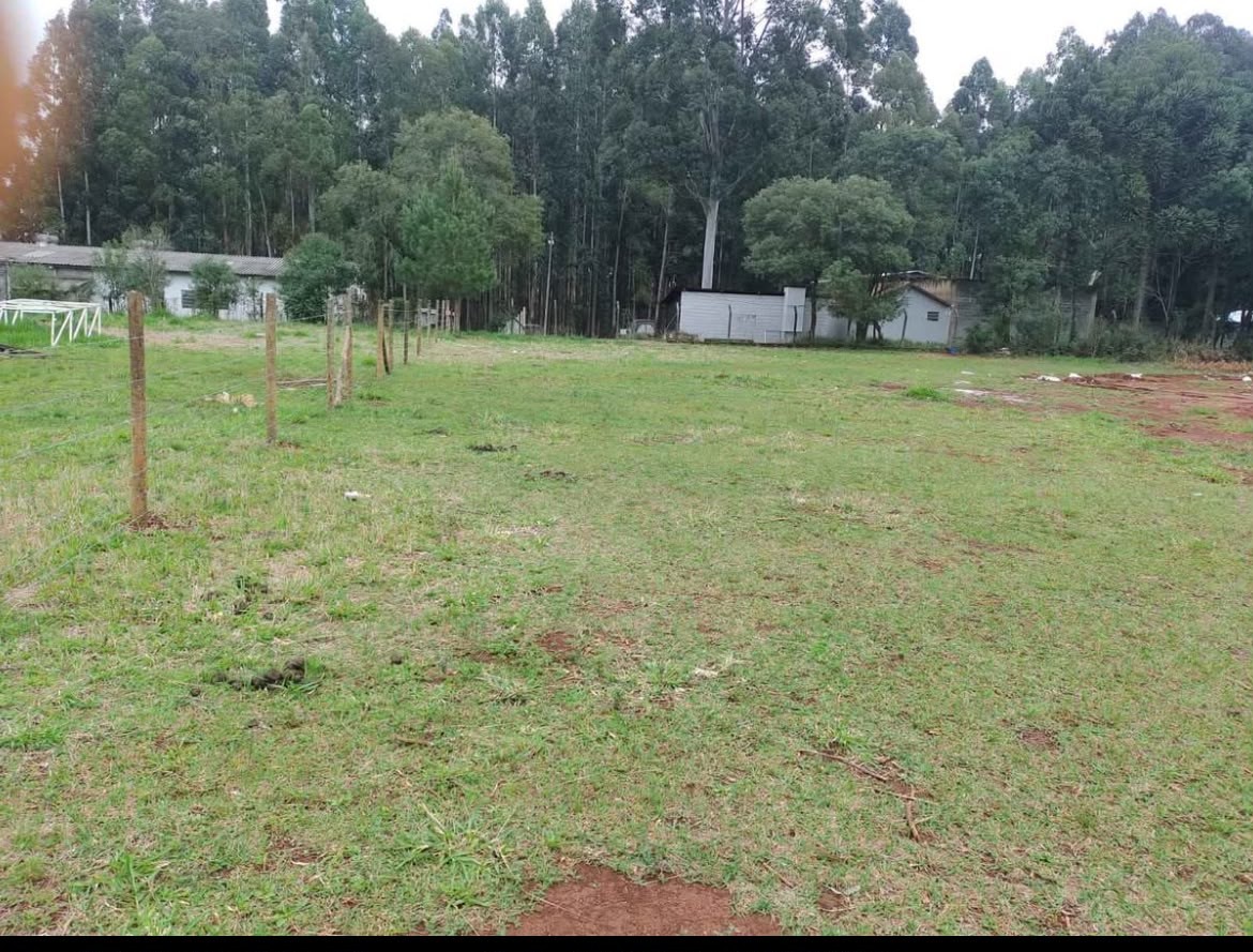 Terreno para alugar em Cara-cara, Ponta Grossa — Portal Chave Fácil