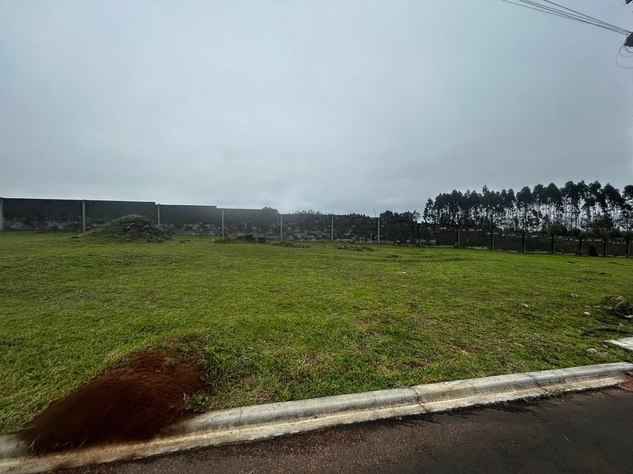 Terreno/Área à venda em Colonia Dona Luiza, Ponta Grossa — Portal Chave Fácil