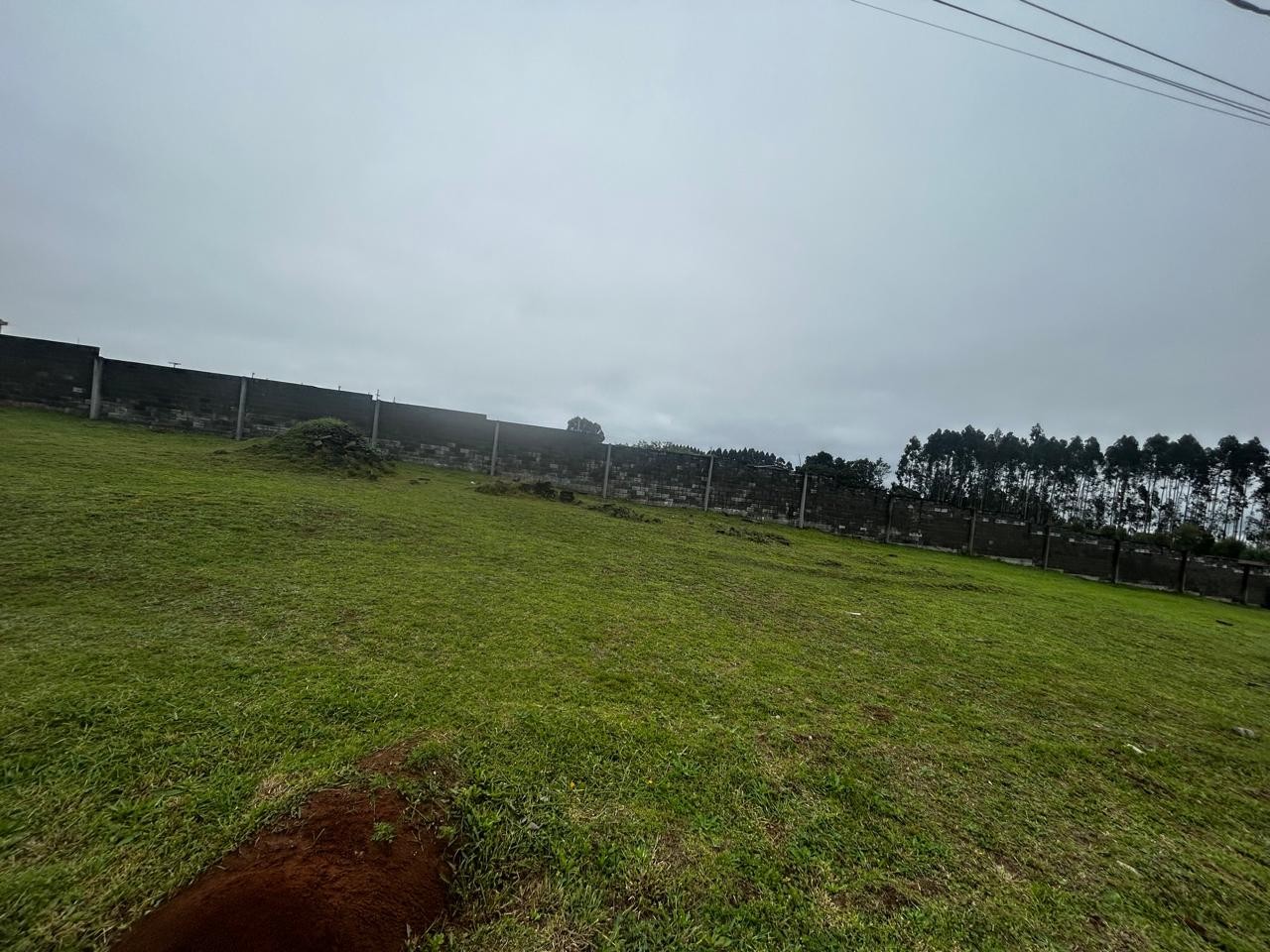 Terreno/Área à venda em Colonia Dona Luiza, Ponta Grossa — Portal Chave Fácil