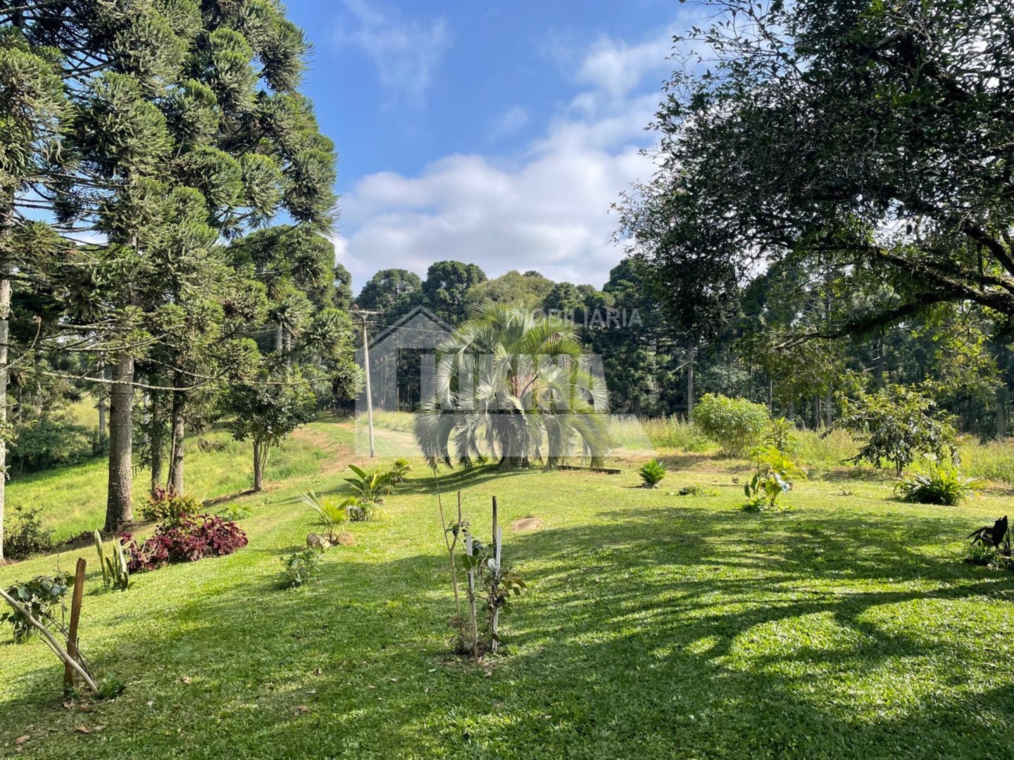 Terreno/Área à venda em Colonia Oliveira, Castro — Portal Chave Fácil