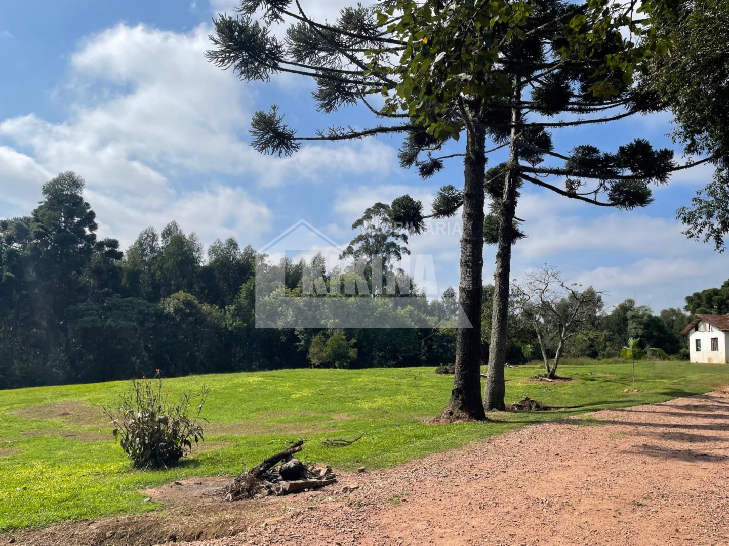 Terreno/Área à venda em Colonia Oliveira, Castro — Portal Chave Fácil