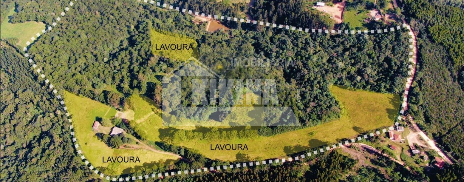 Terreno/Área à venda em Colonia Oliveira, Castro — Portal Chave Fácil