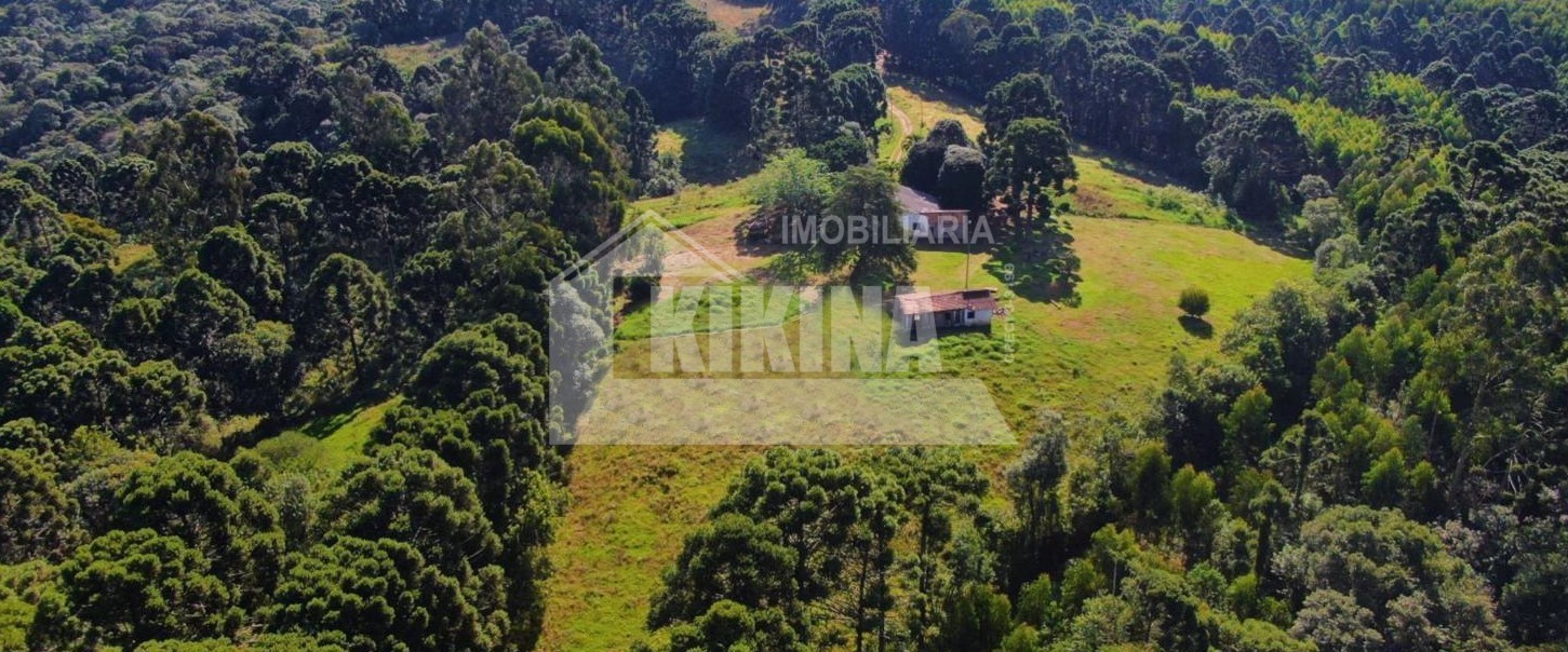 Terreno/Área à venda em Colonia Oliveira, Castro — Portal Chave Fácil