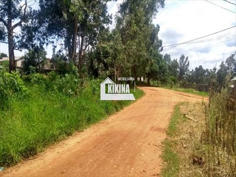 Terreno para venda no Cara Cara em Ponta Grossa com 495m² por R$ 70.000,00