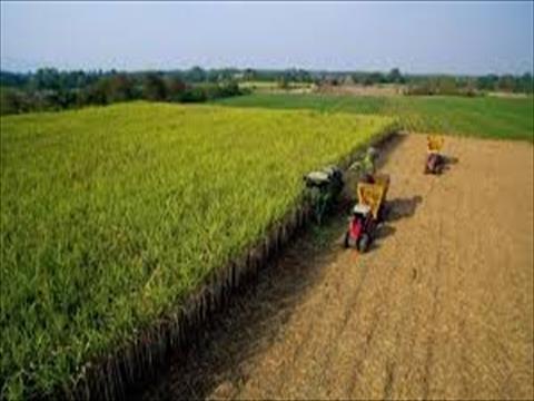Fazenda para venda no Rural em Quata com 0m² por R$ 75.000.000,00