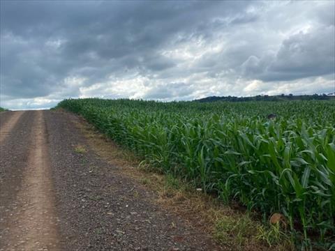 Chácara para venda no Rural em Kalore com 0m² por R$ 3.000.000,00