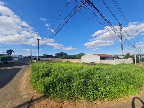 Terreno para venda no Uvaranas em Ponta Grossa com 462m² por R$ 179.000,00
