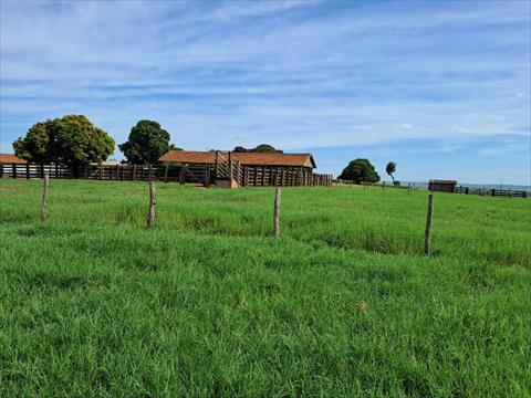 Fazenda para venda no Area Rural de Umuarama em Umuarama com 4.501.200m² por R$ 31.620.000,00