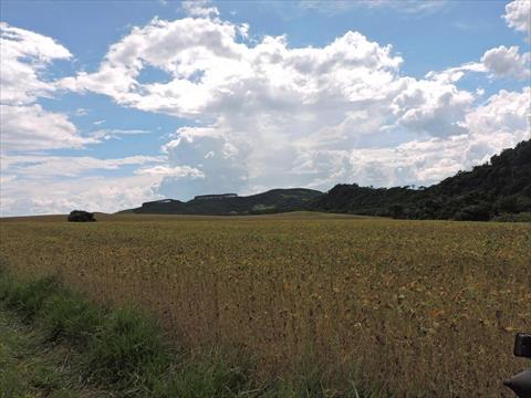 Fazenda para venda no Rural em Candido de Abreu com 1.089.000m² por R$ 5.800.000,00