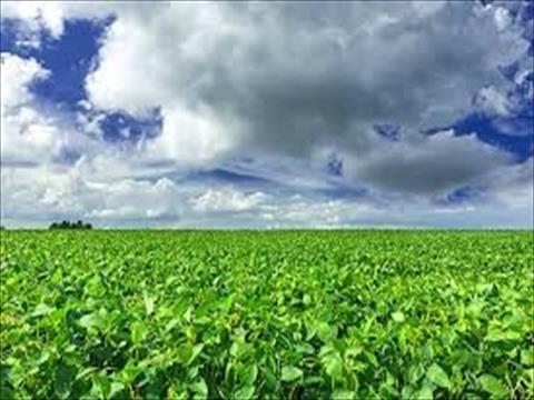Fazenda para venda no Rural em Colider com 24.200.000m² por R$ 200.000.000,00