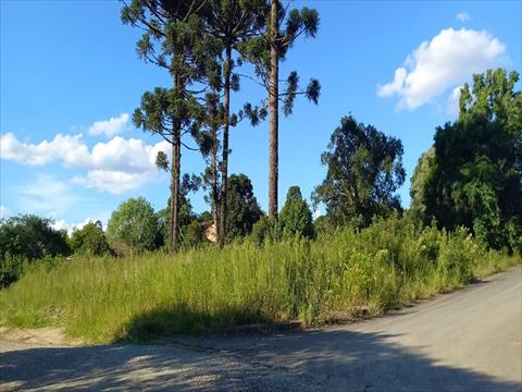 Terreno para venda no Engenheiro Gutierrez em Irati com 0m² por R$ 450.000,00
