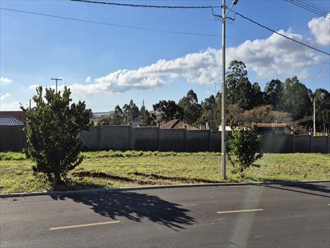 Terreno para venda no Uvaranas em Ponta Grossa com 262m² por R$ 245.000,00