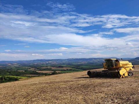 Fazenda para venda no Rural em Candido de Abreu com 968.000m² por R$ 6.000.000,00
