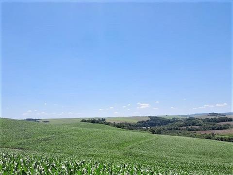 Fazenda para venda no Rural em Quinta do Sol com 871.200m² por R$ 12.000.000,00