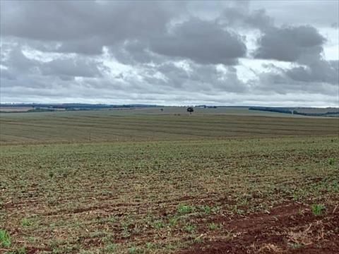 Fazenda para venda no Rural em Goioere com 2.468.400m² por R$ 33.415.000,00