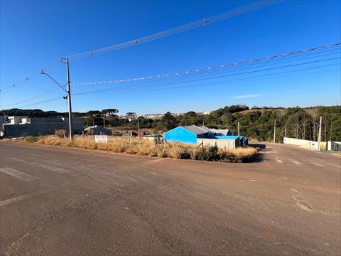 Terreno para venda no Cara-cara em Ponta Grossa com 370m² por R$ 255.000,00