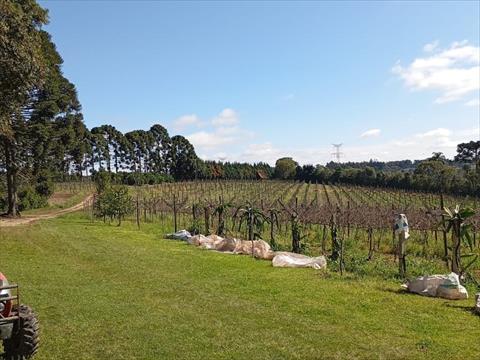 Chácara para venda no Distrito de Guaragi em Ponta Grossa com 177.060m² por R$ 2.000.000,00