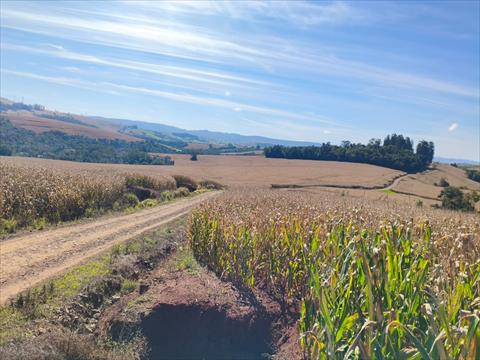 Fazenda para venda no Rural em Ariranha do Ivai com 3.363.800m² por R$ 30.000.000,00