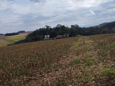 Fazenda para venda no Area Rural de Campo Moura em Campo Mourao com 2.444.200m² por R$ 35.000.000,00