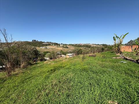 Terreno para venda no Uvaranas em Ponta Grossa com 784m² por R$ 75.000,00