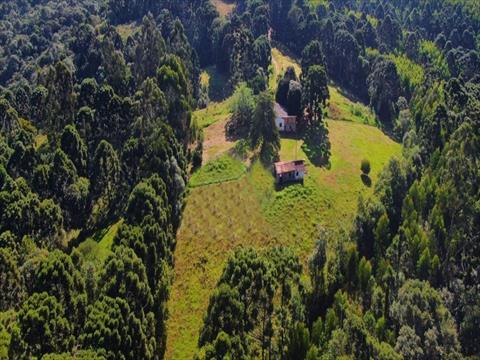 Área para venda no Colonia Oliveira em Castro com 257.578m² por R$ 2.200.000,00