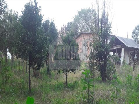 Área para venda no Alto do Amparo em Tibagi com 6.800m² por R$ 220.000,00