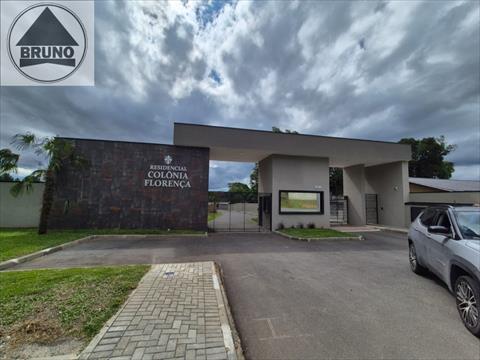 Terreno para venda no Colonia Faria em Colombo com 272,04m² por R$ 330.000,00