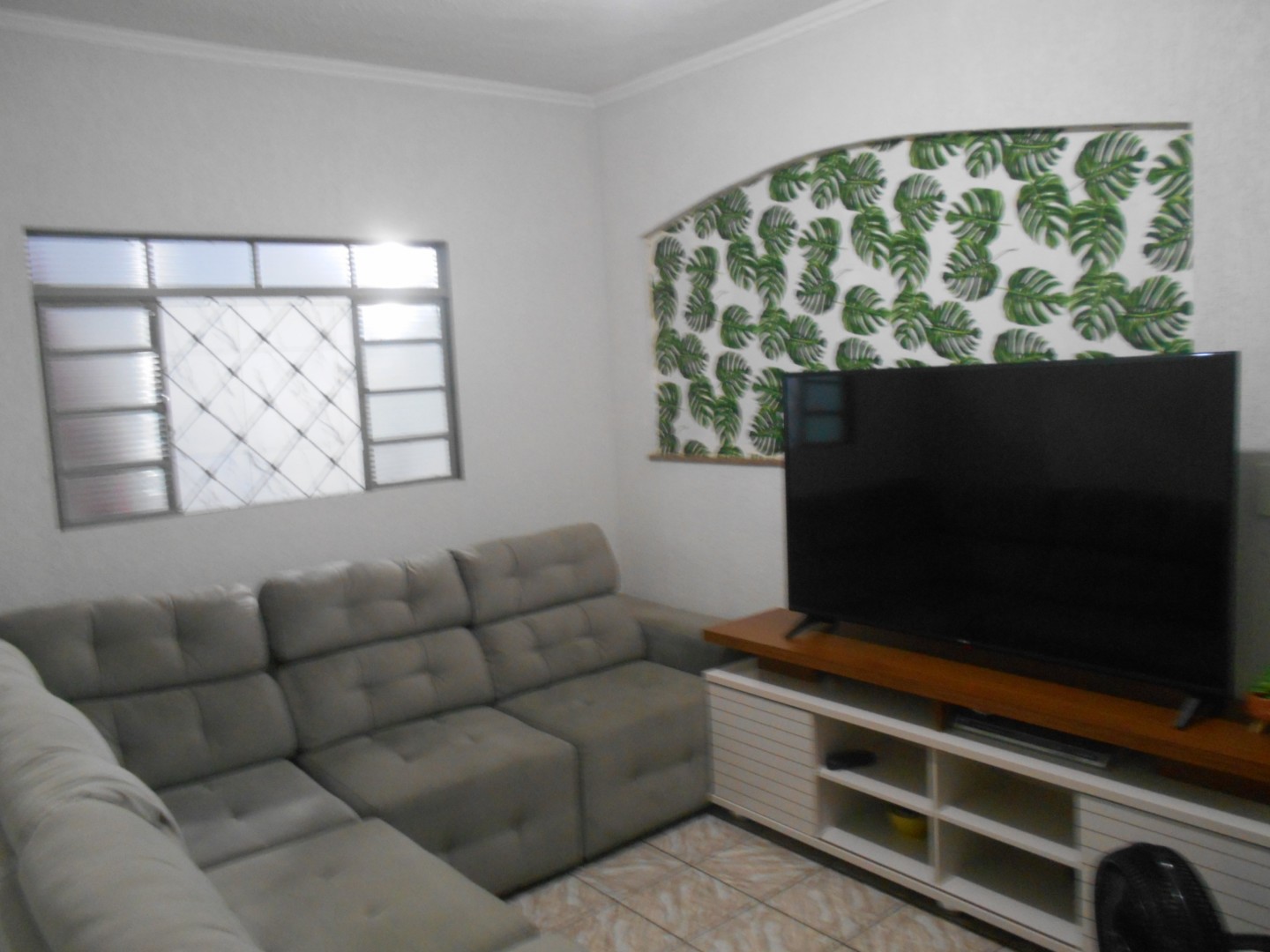 DSCN8517.JPG