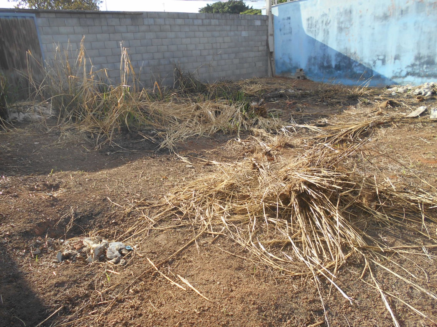 DSCN8660.JPG